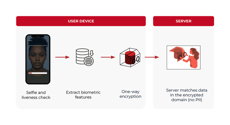 Diagram illustrating the PingOne Recognize facial verification flow across two main sections: User Device and Server. On the User Device side, the process moves from a selfie and liveness check on a smartphone, to extracting biometric features as binary data, to one-way encryption. An arrow then transfers the encrypted data to the Server, where the server matches the data within the encrypted domain without storing PII.