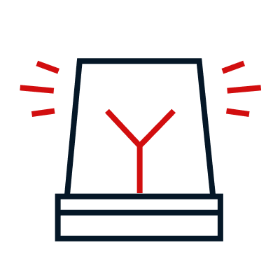 decorative icon